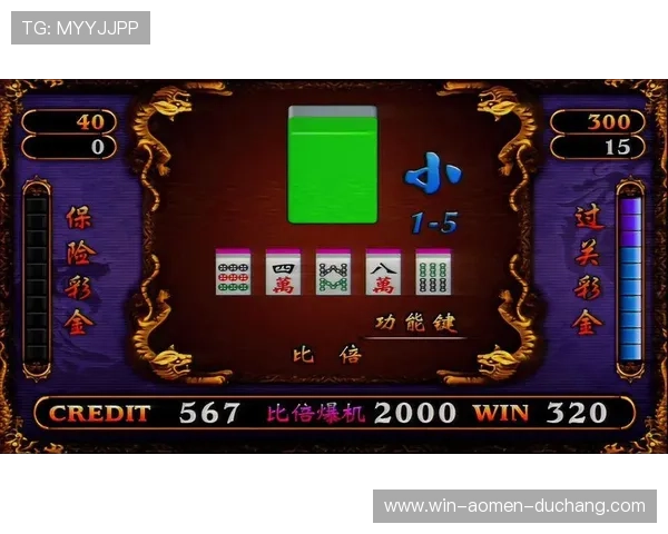 多样化的现金龙虎官方网址提供丰富的游戏选择满足不同需求